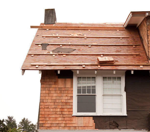 Best Siding Maintenance  in USA